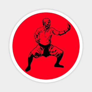 Kung Fu Shaolin Monk Magnet